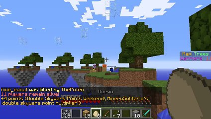 Hacker in skywars  ( VichoSolar_199 )