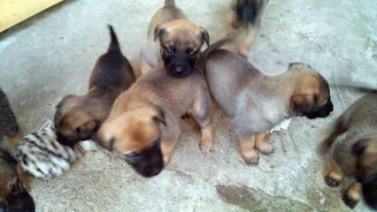 Be Aware H's @ Loud & Proud