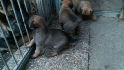 Be Aware H's @ Meet the family!