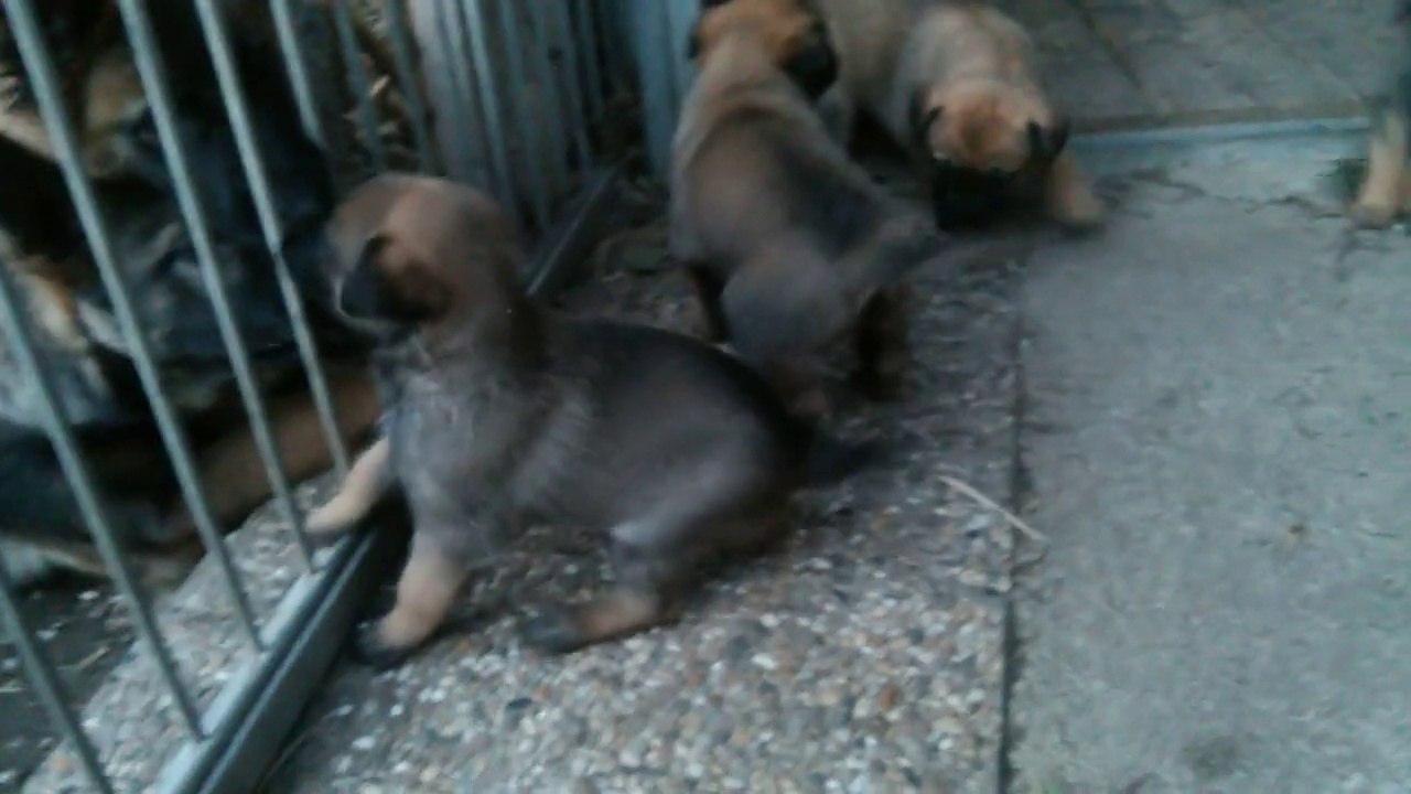 Be Aware H's @ Meet the family!