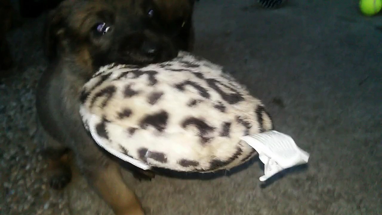 Be Aware H's @ Its MINE! All for me!