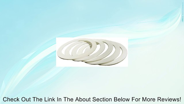 Fuji Industrial Spray Equipment 2037-5 5-Cup Gaskets, 5-Pack Review