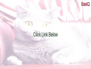 BasiQ Key Gen - Download Here [2015]
