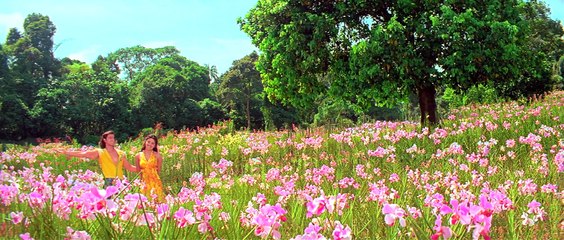 Krrish---Koi Tumsa Nehi