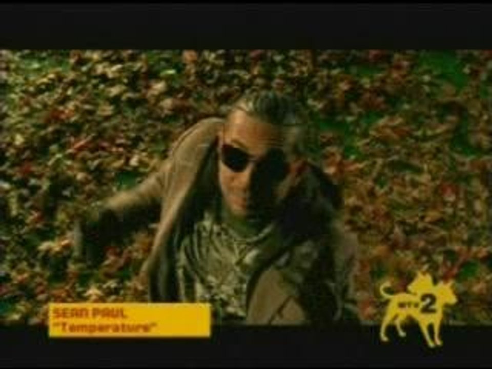 Sean Paul Temperature Vidéo Dailymotion
