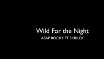 Wild for the Night ASAP Rocky LYRICS