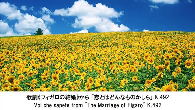 集中力を高めるモーツァルト名曲集・Mozart Famous Collection Raises Your Concentration（長時間作業用クラシックBGM)