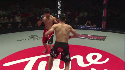 ONE Championship 25 video highlights