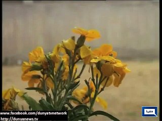 زیارت میں برفباری ، لاہور اور بلوچستان میں بادلوں اور سورج کی آنکھ مچولی جاری