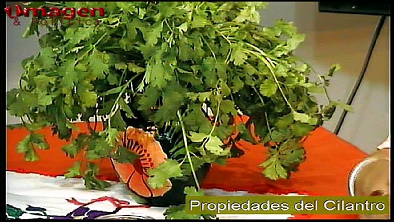 LA TIERRA TE KURA 13MARZO2015