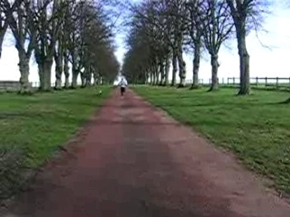 course avec mon chien