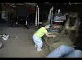 Dog loves with baby beatiful funny video watched by daily motion