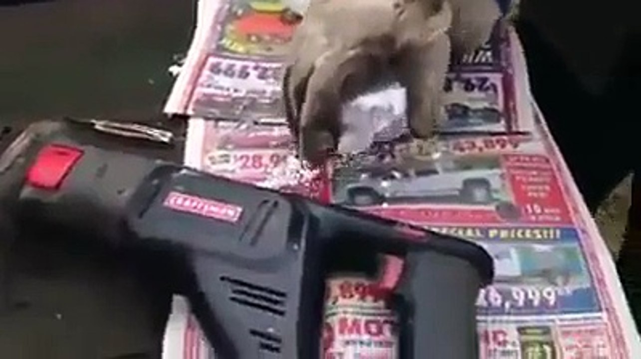 Funny Bomb -hahaha