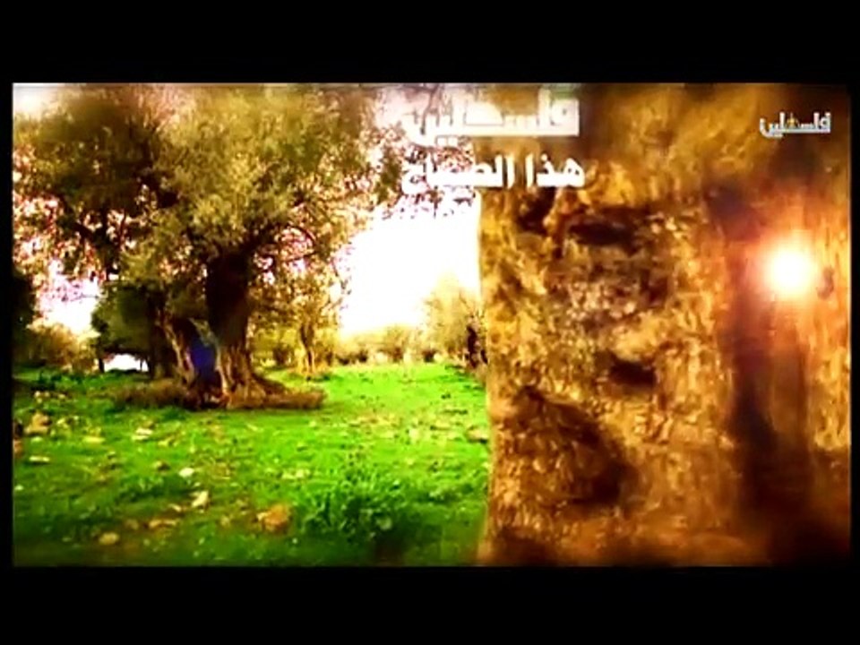 فلسطين هذا الصباح ج1 - 14/3/2015
