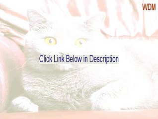 WDM_R189.zip Cracked - Free Download (2015)