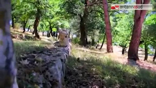 TG 13.03.15 Alberobello in cima alla lista per l'aria più salubre