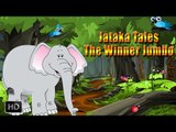 Jataka Tales - Short Stories for Children - Elephant Stories - The Winner Jumbo - Animated Cartoons
