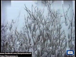 Dunya News - Snow fall continue in Ziarat