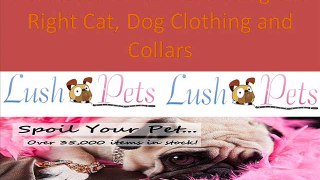 Buy Pet Apparel Online in Australia