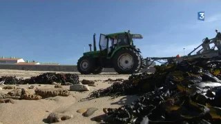 Biotopia formation nettoyage de plage