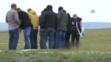 Eskişehir'de Sokak Köpekleri Kadını Parçaladı