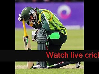 looking ireland vs pakistan online Cricket