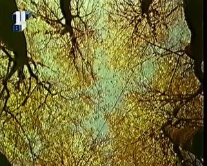 staroetv.su / Полёт над гнездом глухаря (ТВЦ, 2000) Елена Казанцева