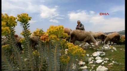 Denizli Bakanlar Et ve Süt Kurumu Kombinası Açılış Töreninde Konuştu