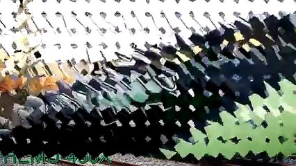 Korean Fastest Train with the Speed of 430 km_h