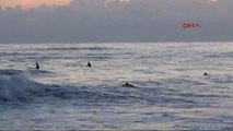 Alanya - 32 Afrika Ülkesi Gezen ABD'li Sörfçünün Son Durağı Alanya