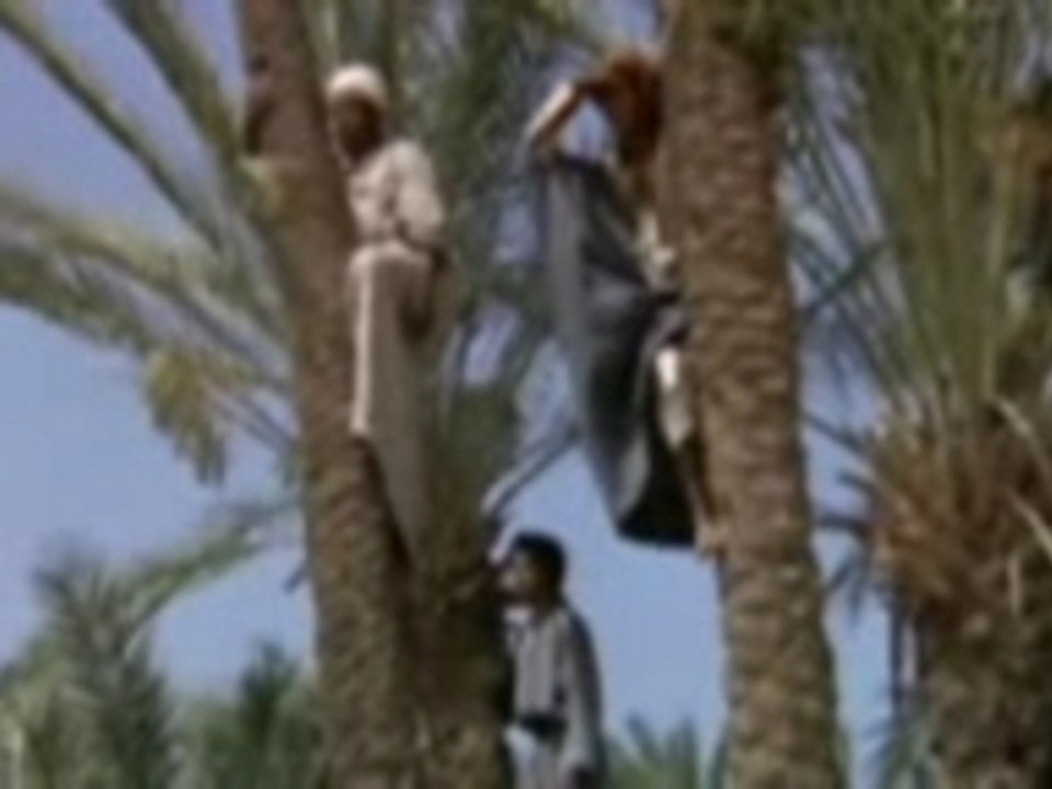 L'Aube de L'Islam 4