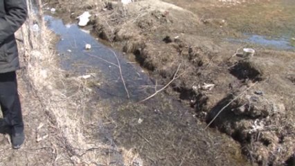 Kaybolan Nehir'in Cesedinin Bulunması