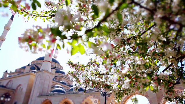 رحمن رحمن Mishari Rashid Al Afasy - Rahman