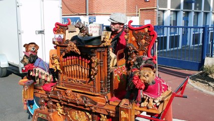 Foire agricole de Saint-Pol : de l'animation dans toutes les rues