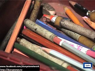 Dunya News - Karachi: Fans expecting national team to win against Ireland