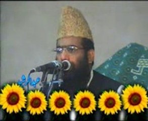 Hanif Rabani Sb - Topic-Nabi saw ki Abadat. By Fahim Malik