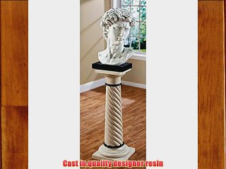 Design Toscano KY2417 Bust of Michelangelo's David Statue