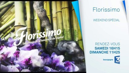 Bande-annonce émission spéciale : FLORISSIMO 2015