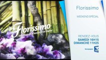 Bande-annonce émission spéciale : FLORISSIMO 2015