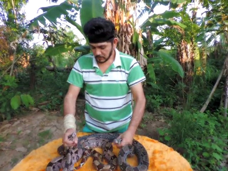 SHOCKING: Man trains pythons to burst balloons