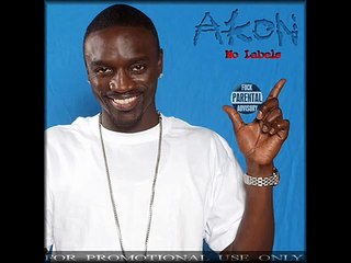 Akon Ft. Rick Ross Give It To 'Em (With Lyrics)