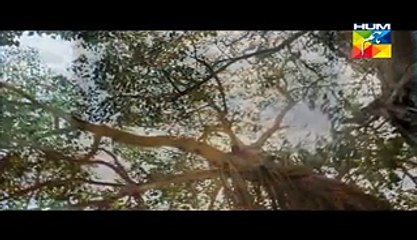 Digest Writer Last Episode 24 Part 2 HUM TV Drama Mar 14, 2015