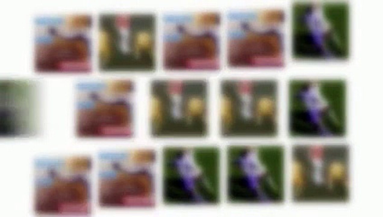 Watch - Penafiel vs Rio Ave 2015 - Portugal 2015 Primeira Liga - free football streaming online live  2015 - watch live soccer online on PC 2015