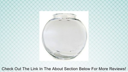 Drum Fish Bowl Review