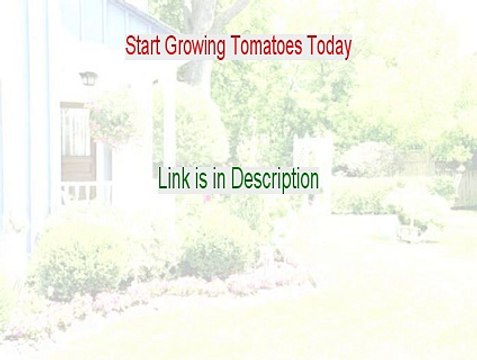 Start Growing Tomatoes Today Review - See my Review 2015