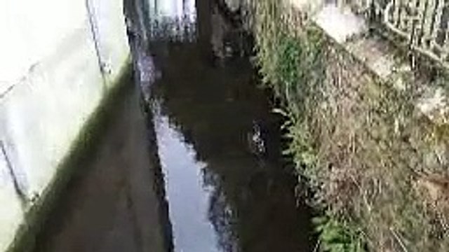 Le lac Vaires Torcy 77