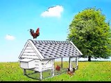 Easy DIY Chicken Plans - How Building a Chicken Coop - Sample Video
