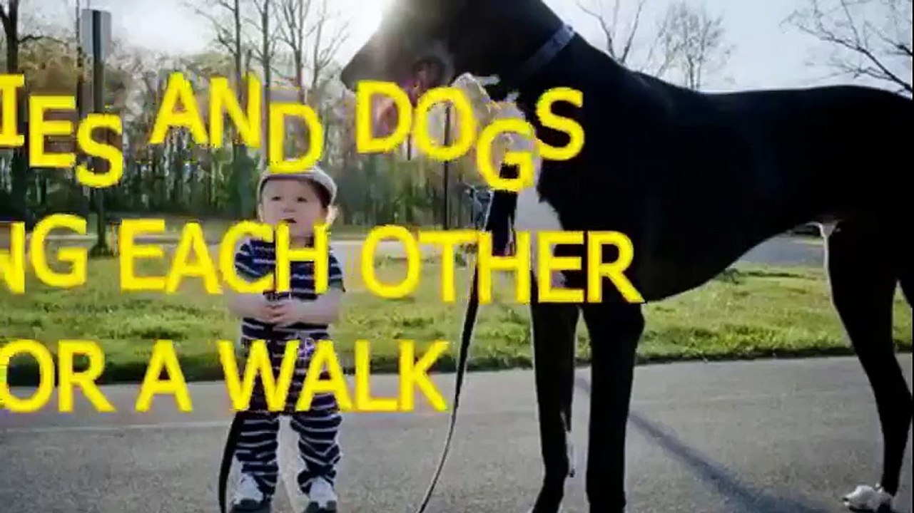 Babies and dogs take each other for a walk - Funny and cute compilation