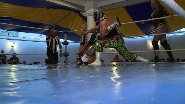 Transvestites wrestle for place in Mexican lucha libre