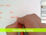 Identification of gases (Topic: 1 Section 1.3c)